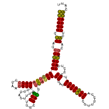 secondary structure