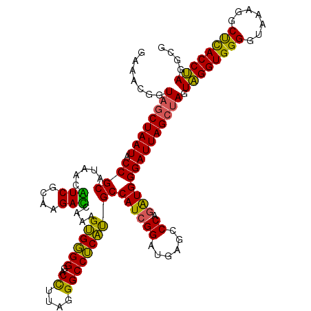 secondary structure