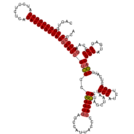 secondary structure