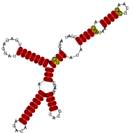 secondary structure