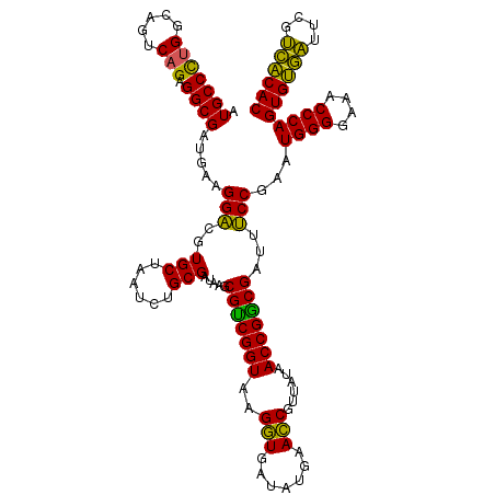 secondary structure