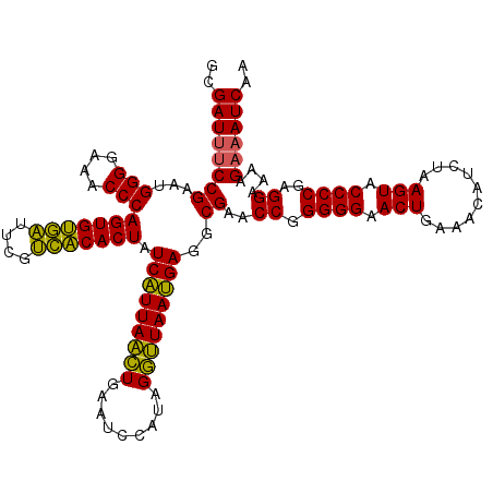 secondary structure