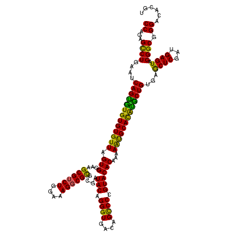 secondary structure