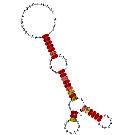 secondary structure