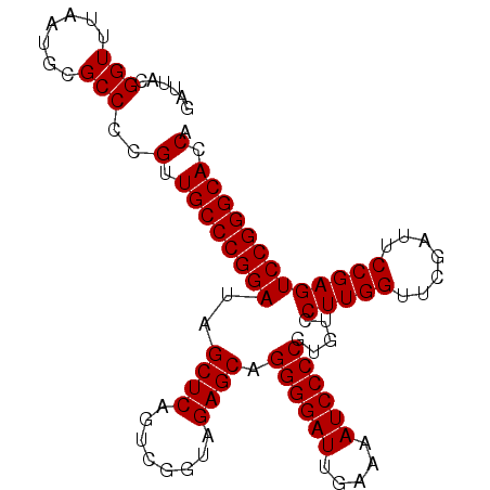 secondary structure