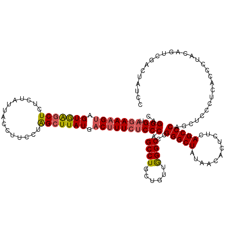 secondary structure