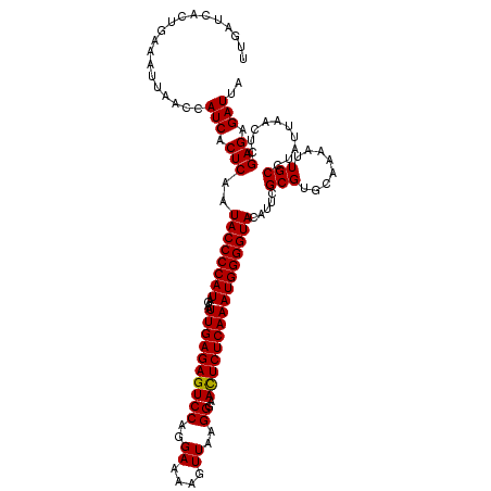 secondary structure