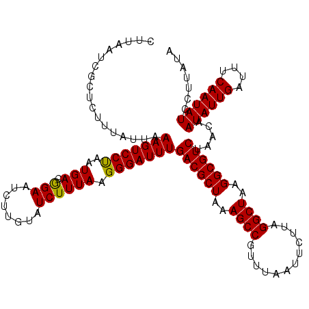 secondary structure