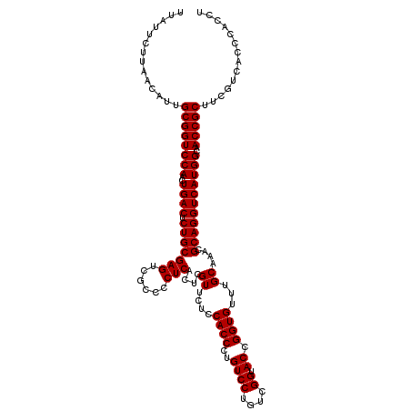 secondary structure