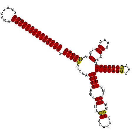 secondary structure