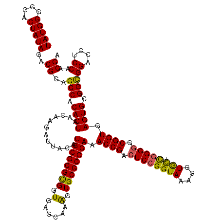 secondary structure