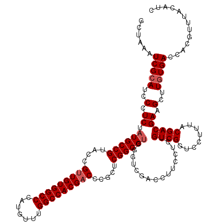 secondary structure