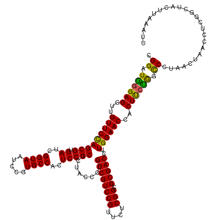 secondary structure