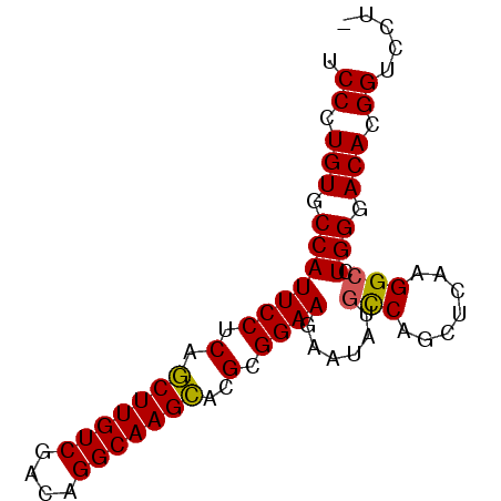 secondary structure