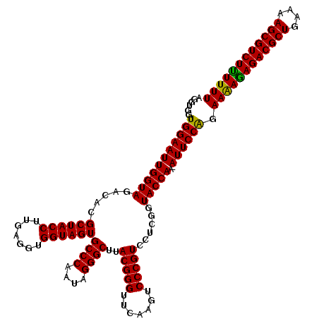 secondary structure