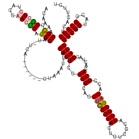 secondary structure