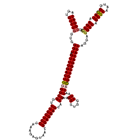 secondary structure