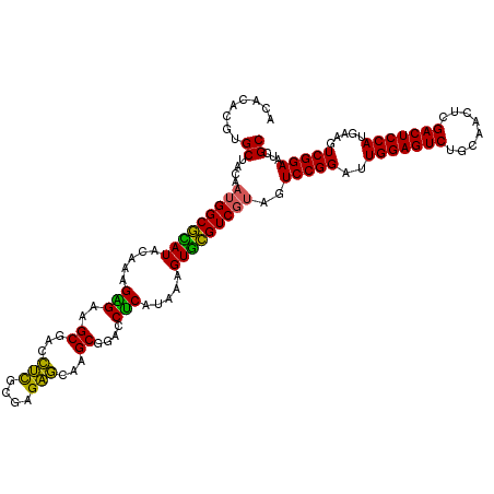 secondary structure