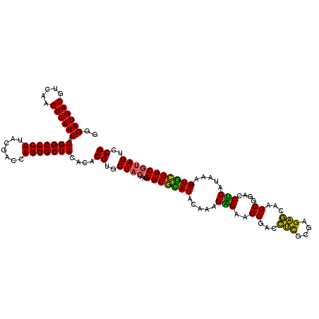 secondary structure