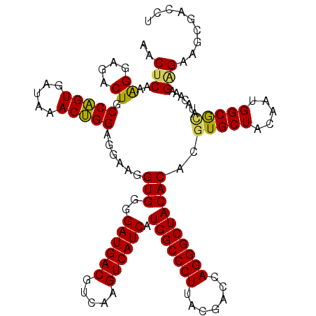 secondary structure