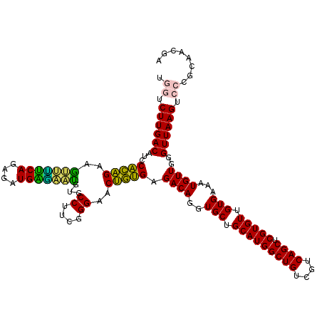 secondary structure