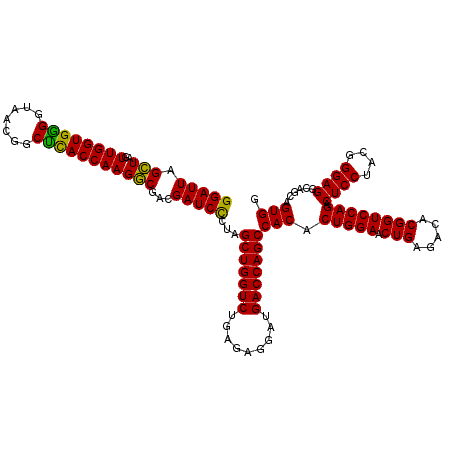 secondary structure