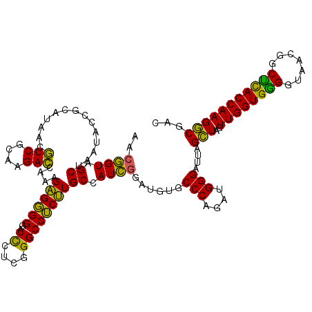 secondary structure