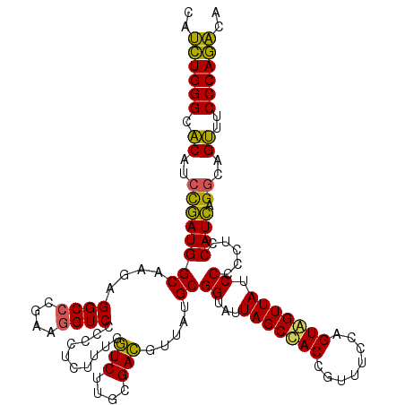 secondary structure