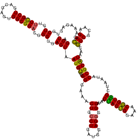 secondary structure