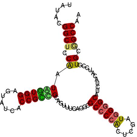 secondary structure