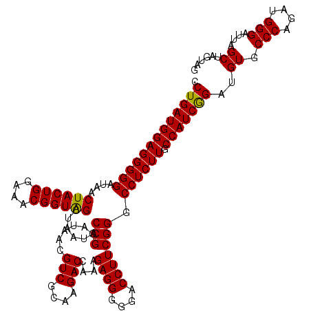 secondary structure