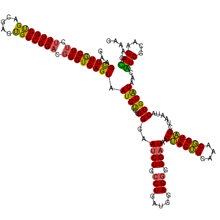 secondary structure