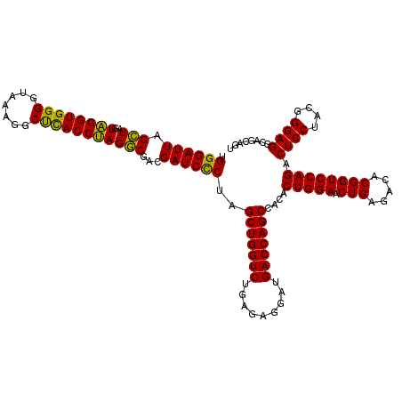 secondary structure