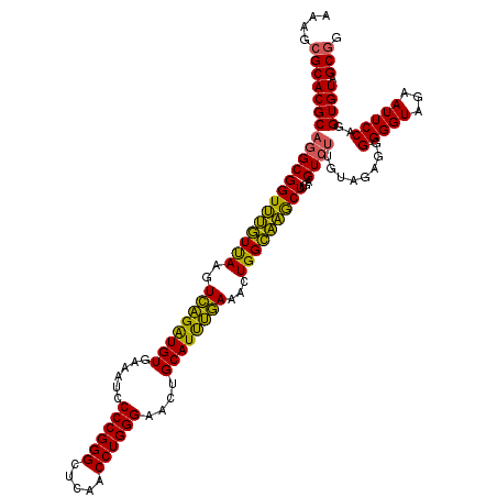 secondary structure