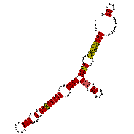 secondary structure