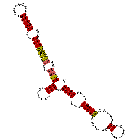 secondary structure