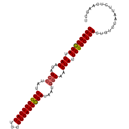 secondary structure