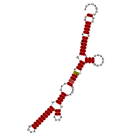 secondary structure