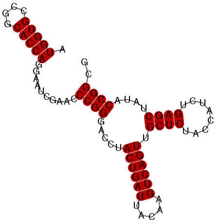 secondary structure