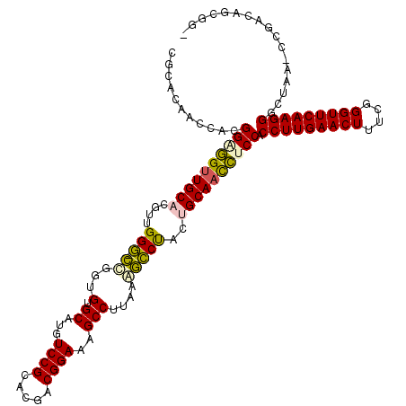 secondary structure