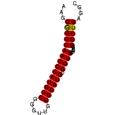 secondary structure