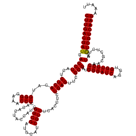 secondary structure