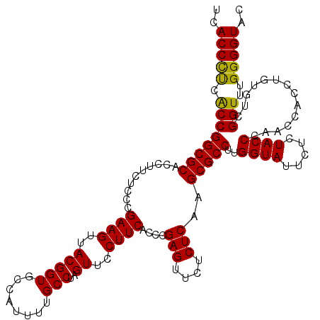 secondary structure