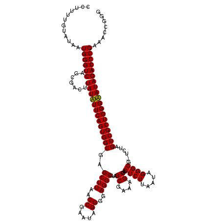 secondary structure