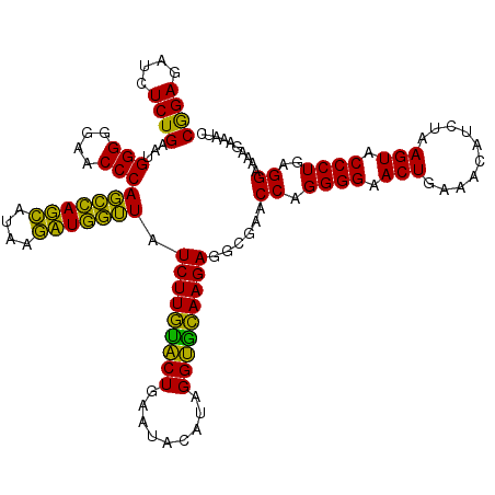 secondary structure