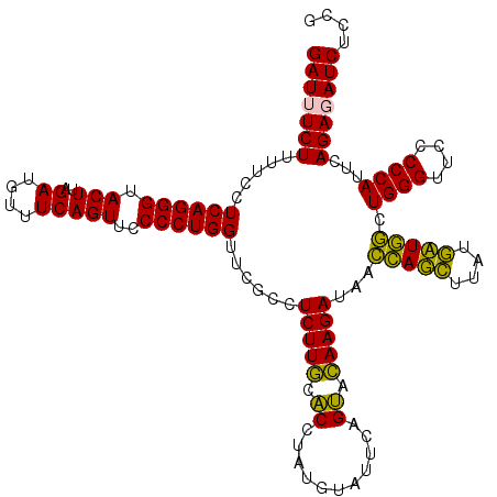 secondary structure