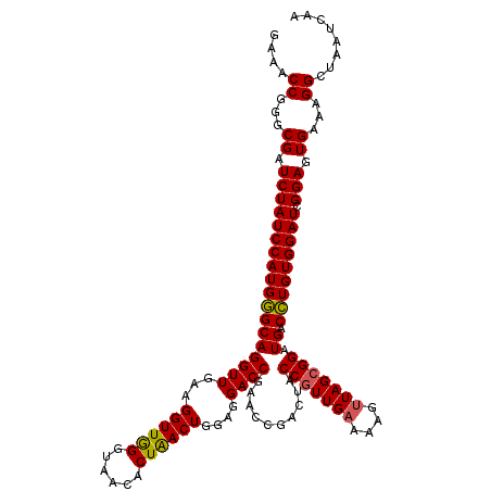 secondary structure