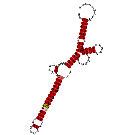 secondary structure