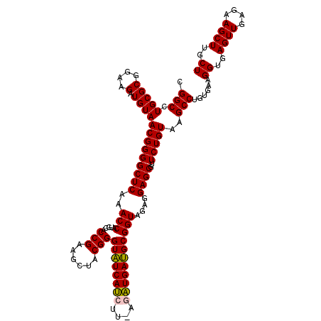 secondary structure