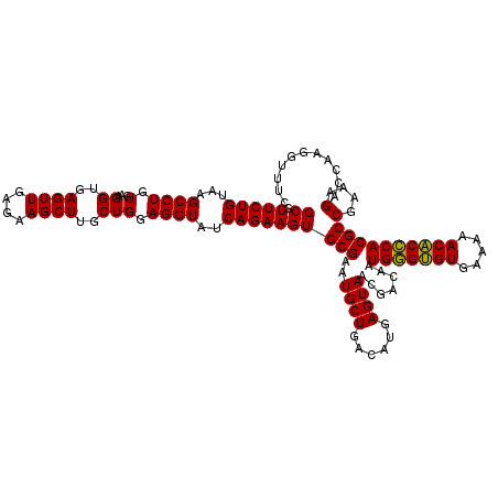 secondary structure